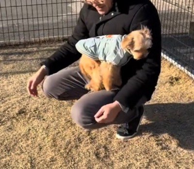 しゃがんでいる男性の膝に飛び乗る犬