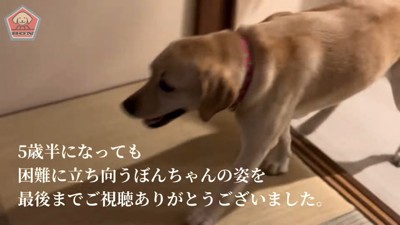 ぼんちゃんも嬉しそう♡