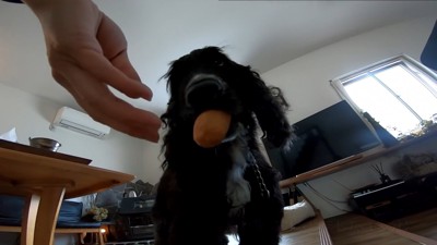 勝手におもちゃで遊び始めました！