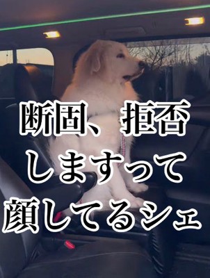 「絶対にイヤ！」