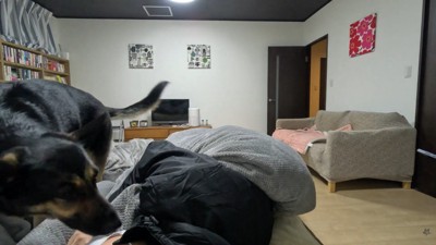 心配してくれていると思いきや…