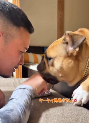 男性の指を咥える犬