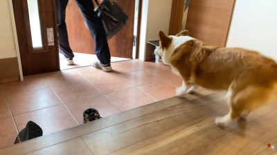 まずは玄関でお見送り