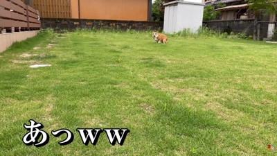 突然のトイレタイム（笑）