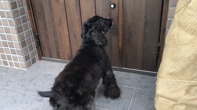 弟さんの家に到着