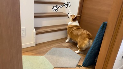「お兄ちゃん、そろそろ時間だよ～！」