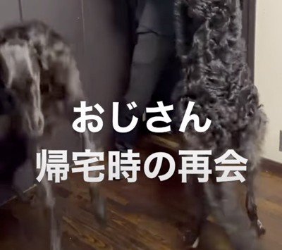 パパが帰宅すると…