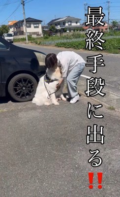 「お？抱っこか…？」