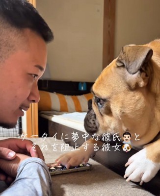 スマホをいじっていたら、犬が『わたしをみてよ！』と文句を言ってきて…まるで彼女のような『態度と表情』に絶賛「おてて可愛い」「パパ、デレ顔」