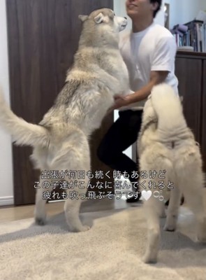パパのこと、大好きすぎる!