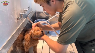 さっそくお手入れ開始
