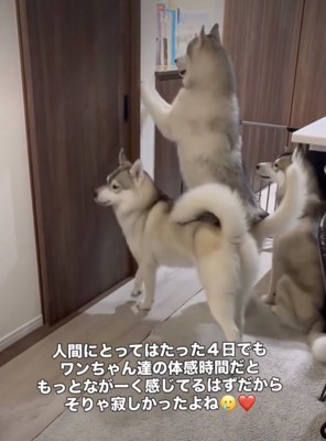 「パパまだかなー!」