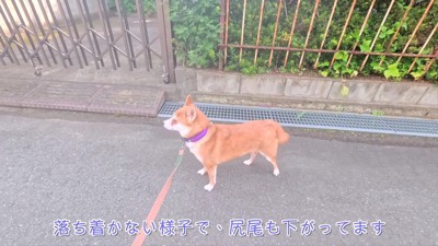 怖くて歩けなかった…