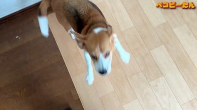パパさんとママさんを熱烈大歓迎!