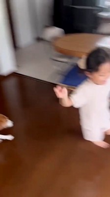 追いかけっこスタート