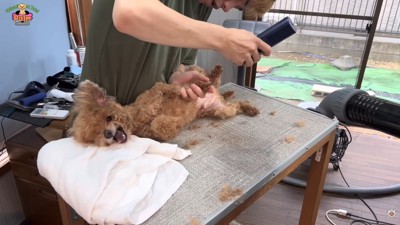 「それはやだ!」と怒っても…