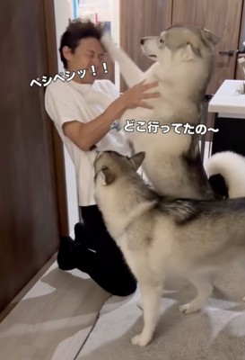 全身で喜ぶロロさん