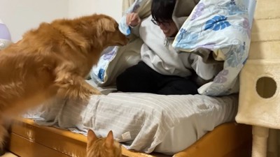 ようやく発見♪