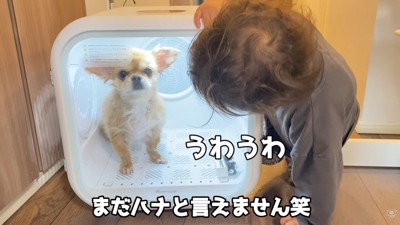 ハナちゃんを応援!