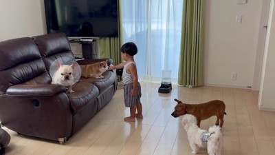人間とも触れ合えるように!!