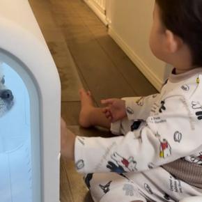 1歳の男の子が『ドライヤーハウスで体を乾かす犬』を発見→『助けなきゃ』と心配して…尊い行動と『成長した光景』に反響「兄弟愛が素敵すぎる」