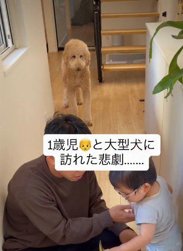 心配そうなわたげちゃん