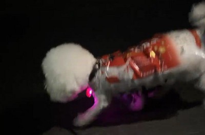 サイズ感もぴったり