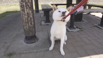 再び拒否モードに!