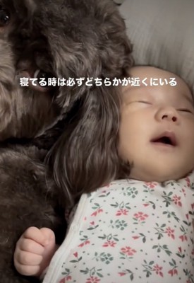 安心して爆睡中…