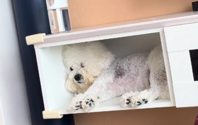 この場所が落ち着くのかも?
