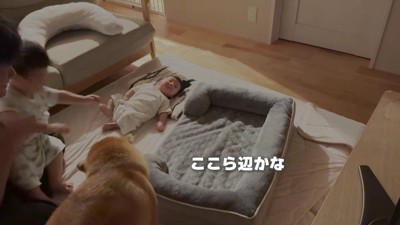 「これで寝なよ」