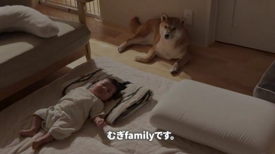 赤ちゃんたちとのんびり