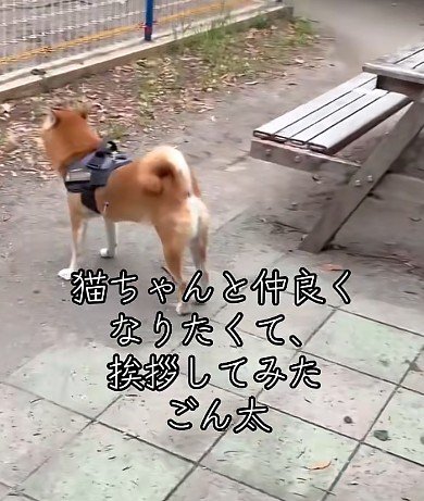 寂しそうな背中