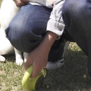 外で遊んでいた犬→移動しようとしたら『もう帰ってしまう』と勘違いして…可愛すぎる『拒否の仕方』に反響「きゅんってなる」「抱きしめたい」
