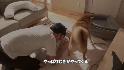 むぎちゃんが傍に来た