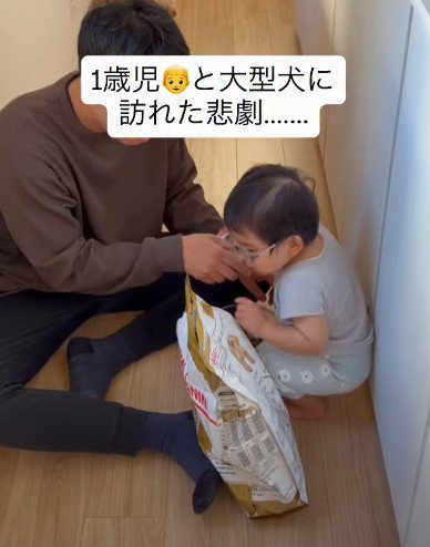 犬にごはんをあげたくて…