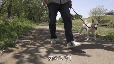 その後、お散歩を楽しみました♪