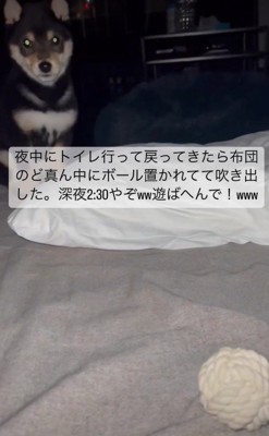 ボールがポツンと置かれていた