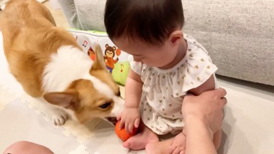 ボールを取り合う2人