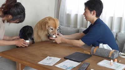 食欲が出たようです!