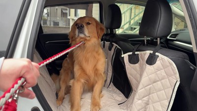 「絶対に行きたくない！！」