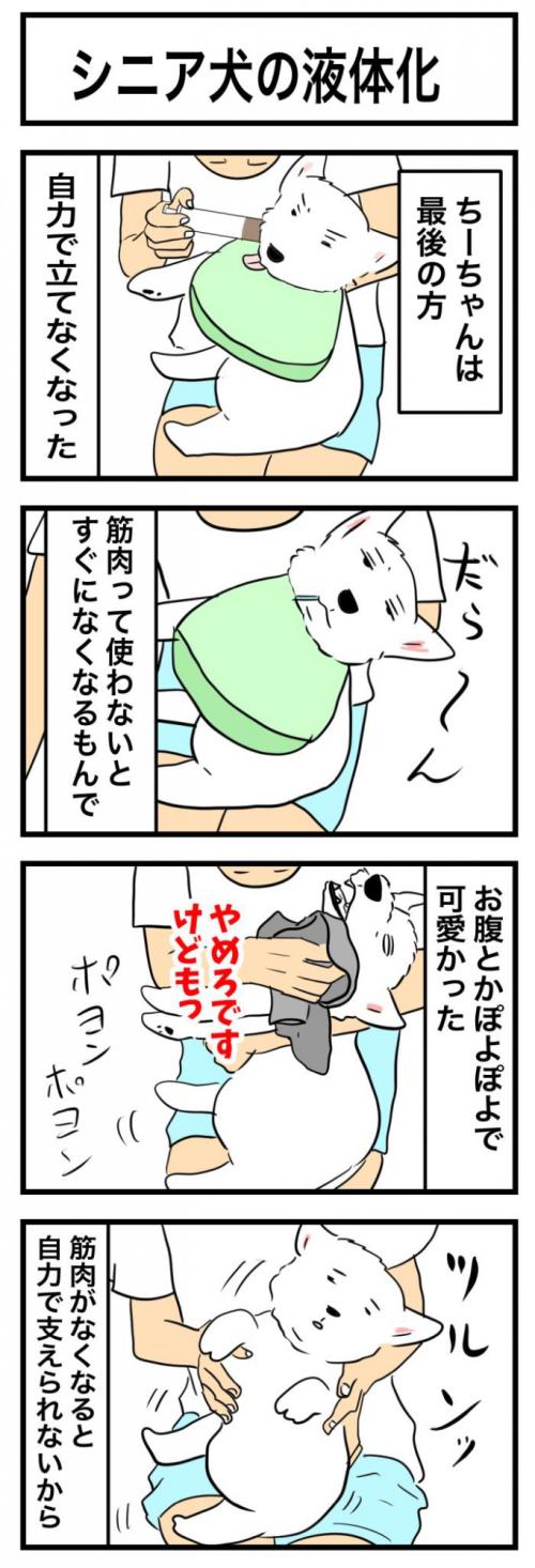 ちーちゃんですけどもっ【第380話】 1