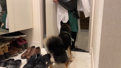 まずは匂いをチェック!