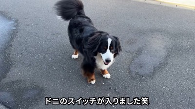 スイッチオン!