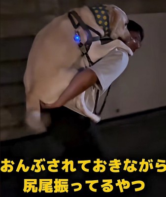 大満足な虎丸ちゃんでした