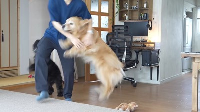 息子さんの登場に大喜び!