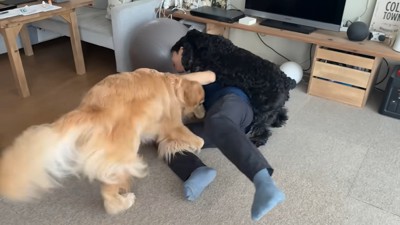 ついに押し倒されてしまいました(笑)