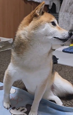 「なにか変かな?」