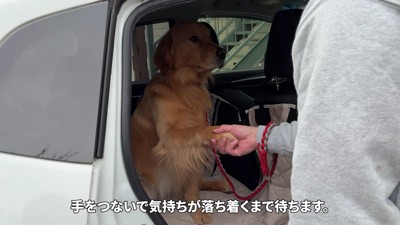 「お願いだから帰ろう？」