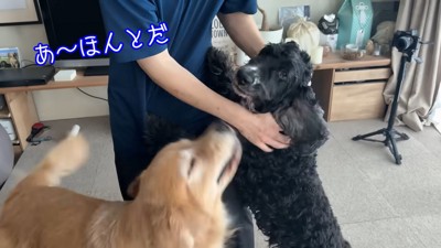 何度も抱きつくルーク君